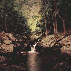 Meet your Posher, Robin